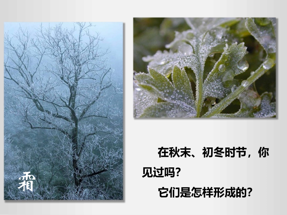 《升华和凝华》物态变化PPT免费课件[人教版八年级物理上册]_第3页