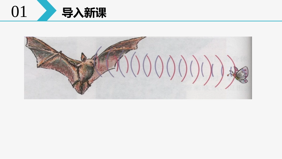 《光的反射》光现象PPT免费教学课件[人教版八年级物理上册]_第2页