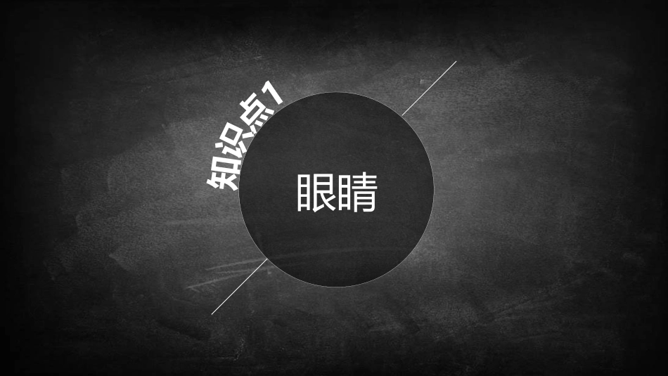 《眼睛和眼镜》透镜及其应用PPT免费课件[人教版八年级物理]_第3页