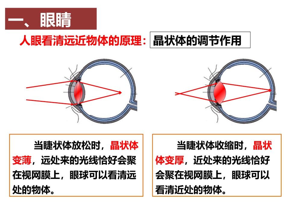 《眼睛和眼镜》透镜及其应用PPT精品课件[人教版八年级物理]_第3页