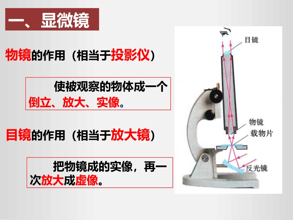 《显微镜和望远镜》透镜及其应用PPT精品课件[人教版八年级物理]_第3页