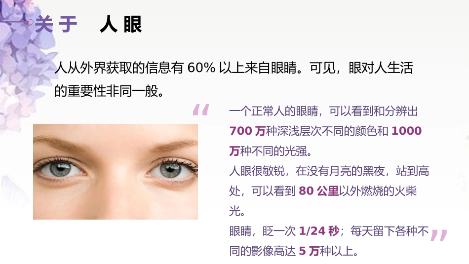 《眼睛和眼镜》常见的光学仪器PPT课件[北师大八年级物理]_第2页