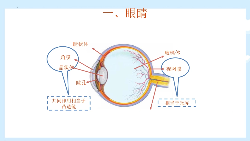 《眼睛和眼镜》常见的光学仪器PPT免费课件[北师大八年级物理]_第3页