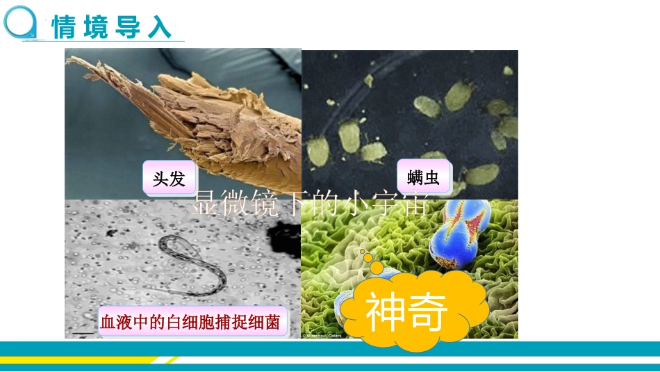 《眼睛与光学仪器》光和眼睛PPT优秀课件[粤沪版八年级物理]_第3页