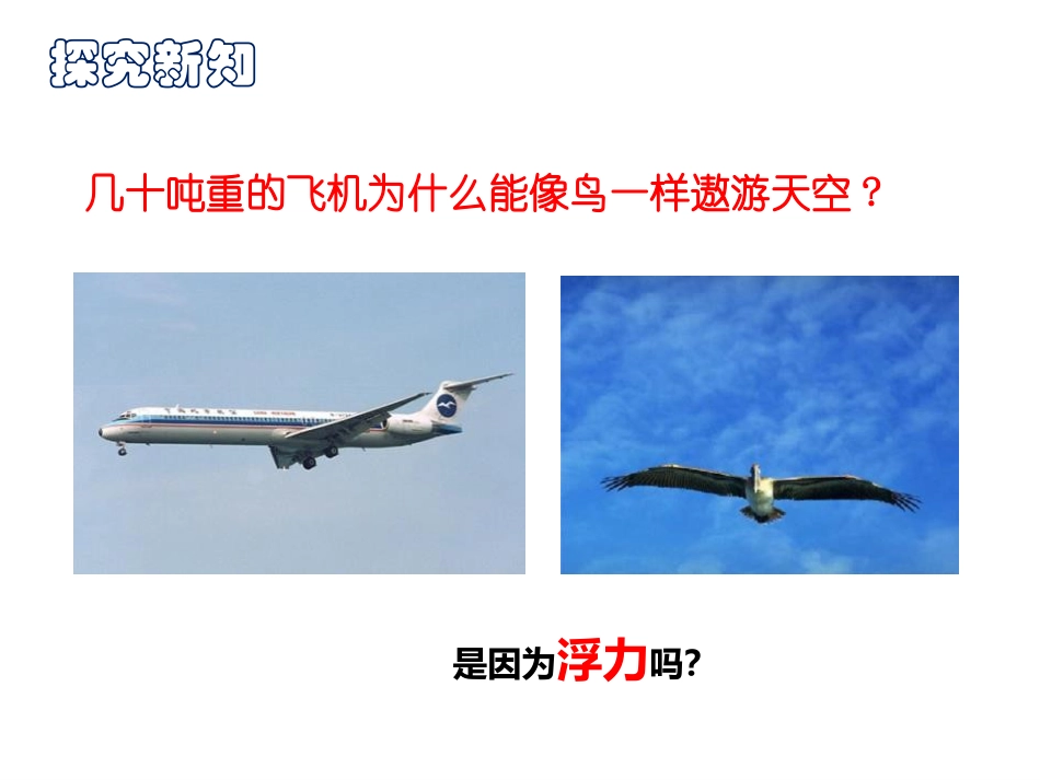 《神奇的升力》浮力与升力PPT课件[粤沪版八年级物理下册]_第2页