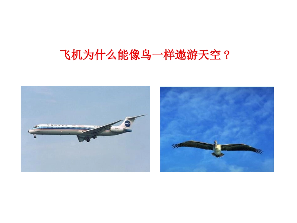 《神奇的升力》浮力与升力PPT精品课件[粤沪版八年级物理]_第3页