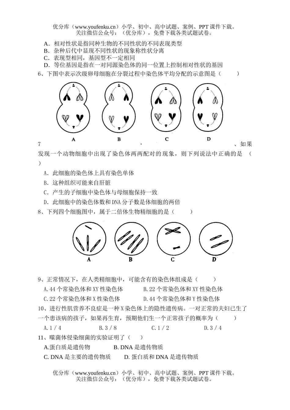 高中一年级生物遗传与进化4试卷_第2页