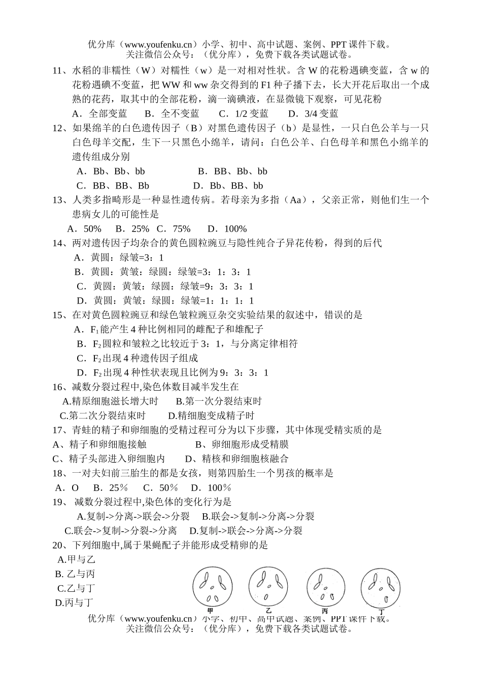高中一年级生物遗传因子的发现测试卷_第2页