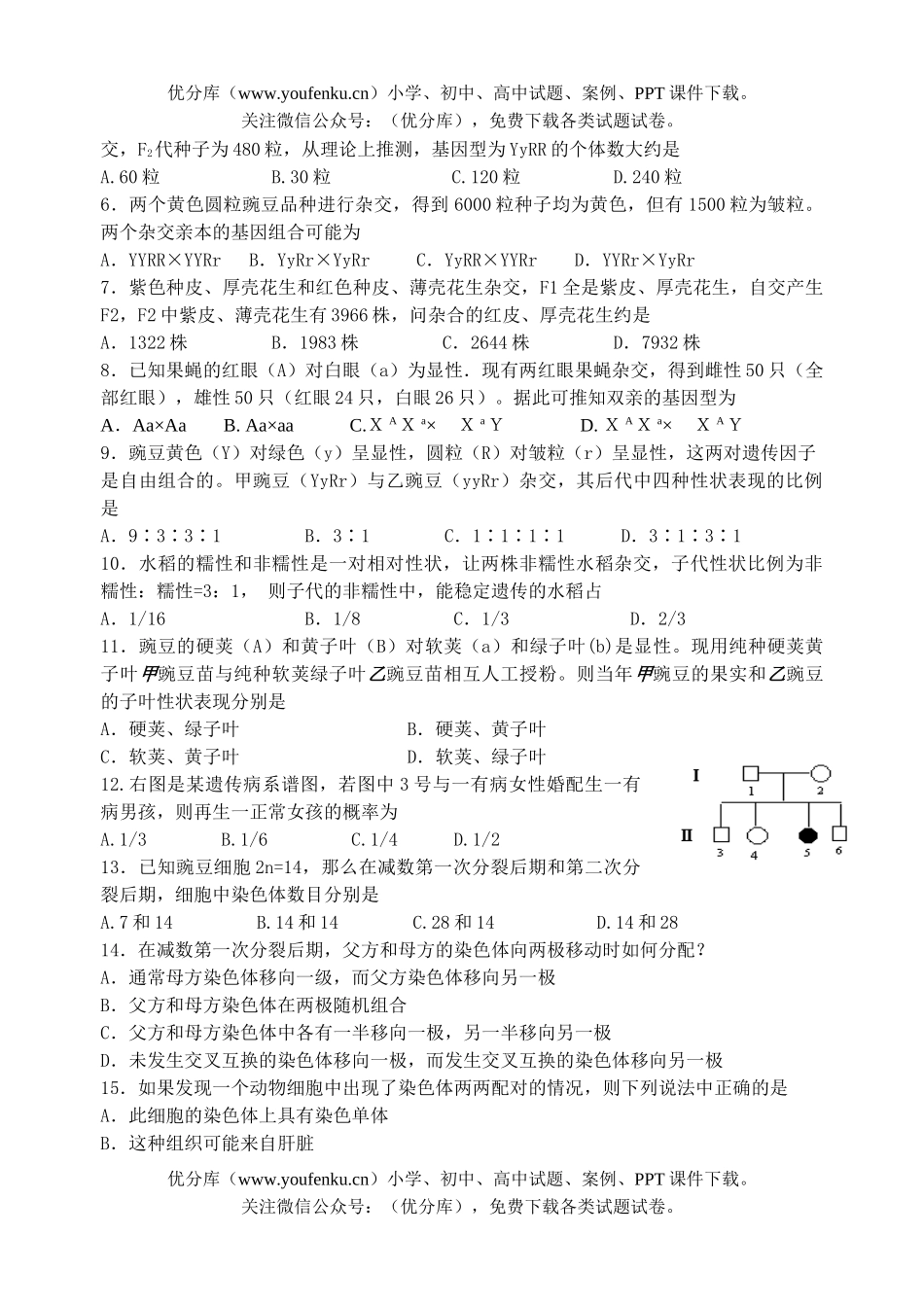 高中一年级生物第二学期期中调研试卷_第1页