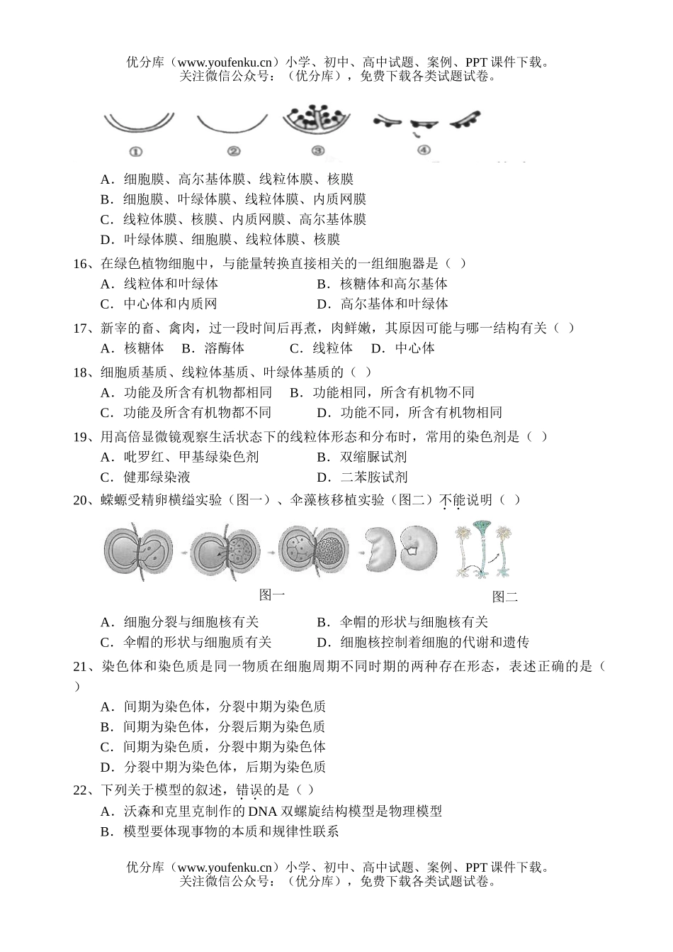 高中一年级生物第一学期期末质量调研检测试卷_第3页