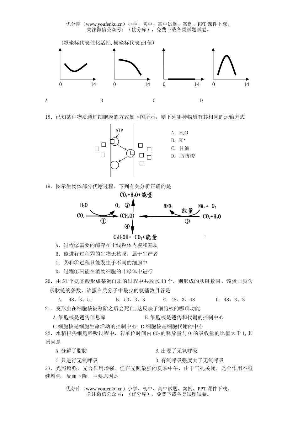 高中一年级生物分子与细胞测试卷_第3页