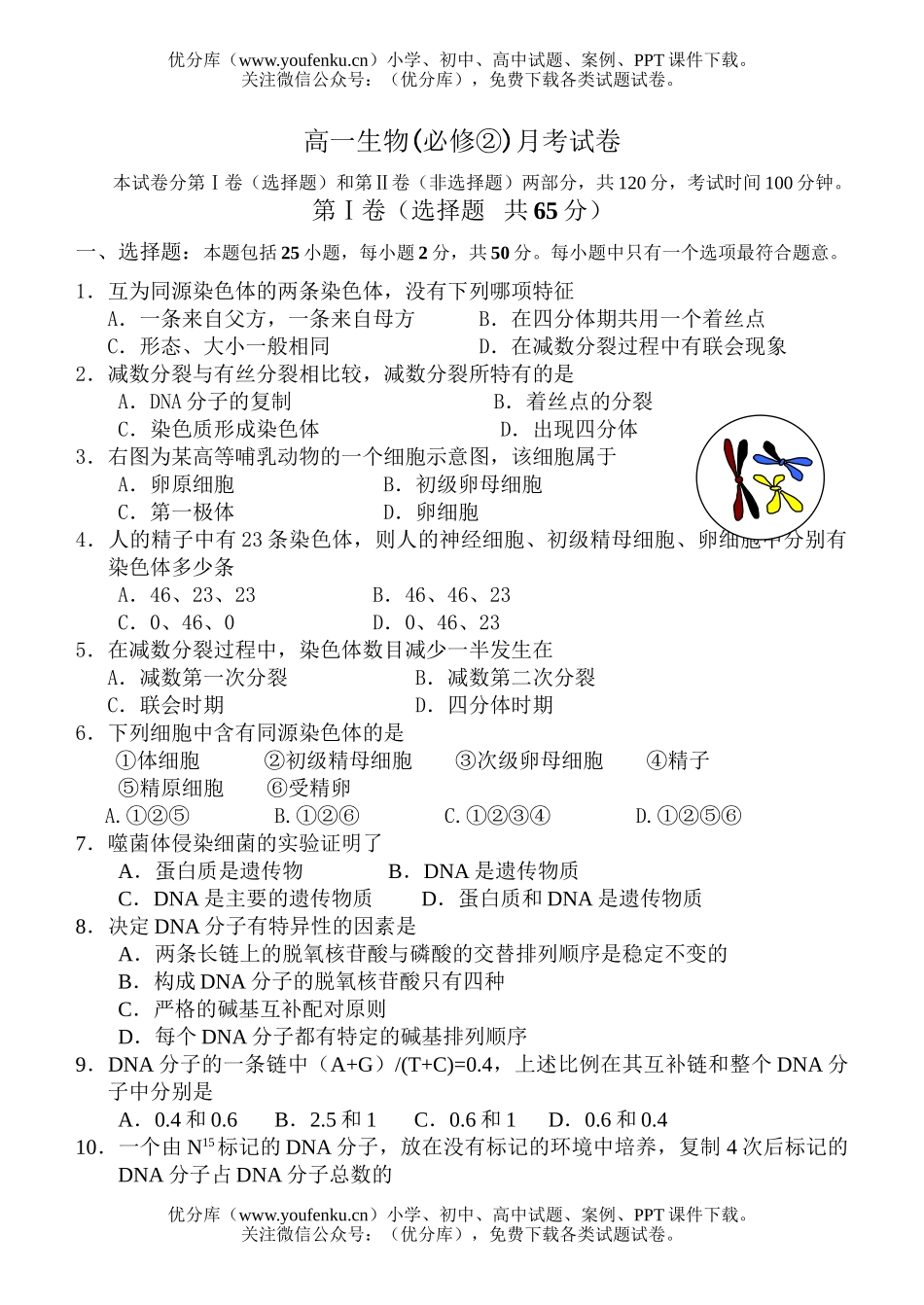 高中一年级生物必修2月考题试卷_第1页
