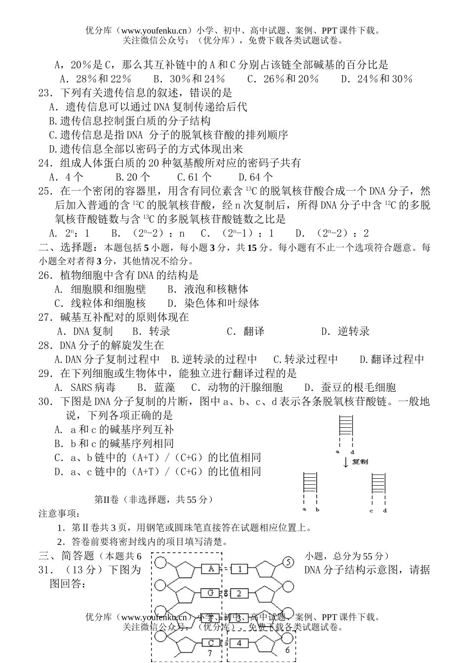 高中一年级生物必修2月考题试卷_第3页