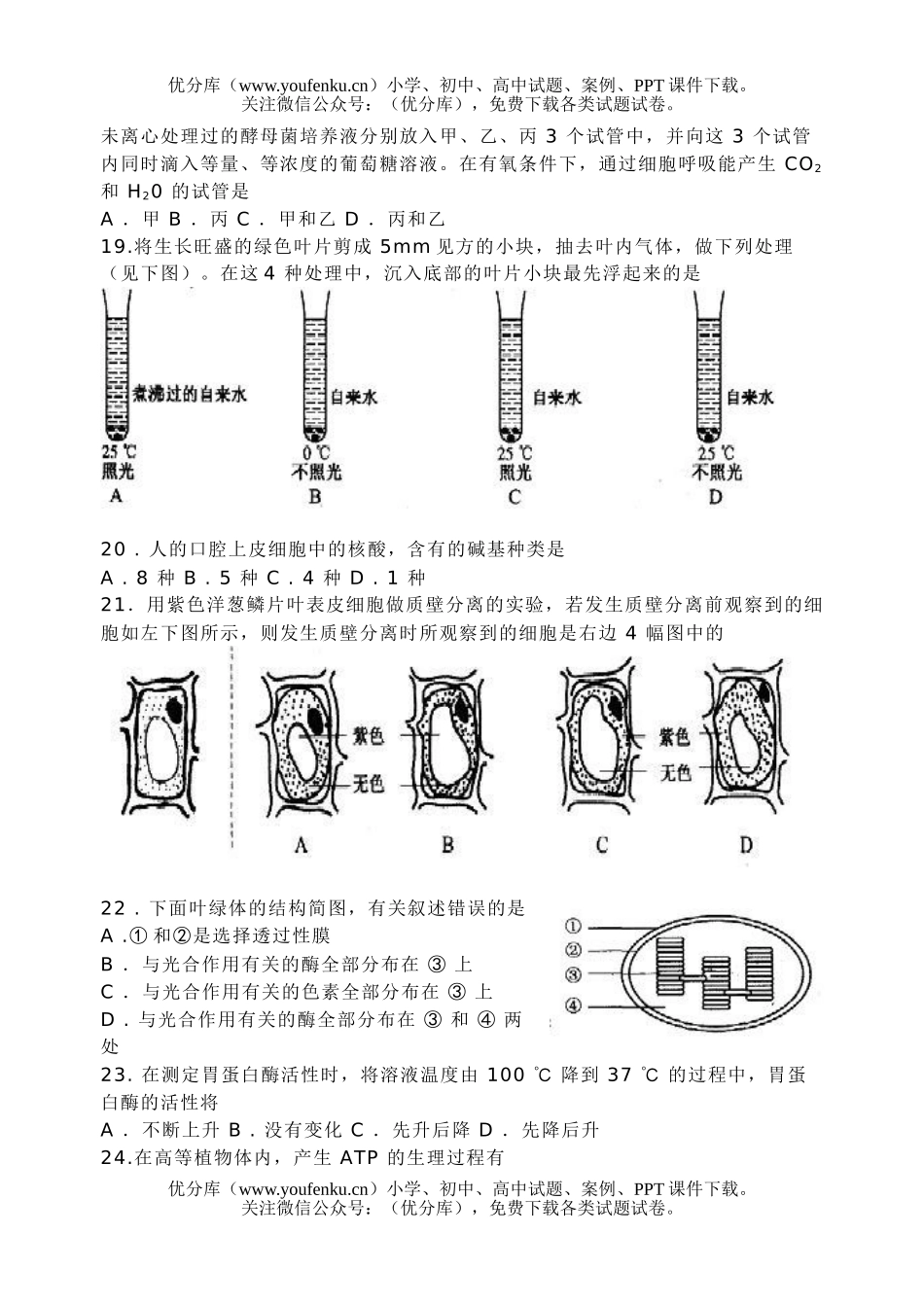 高中一年级生物上学期期末调查测试卷_第3页