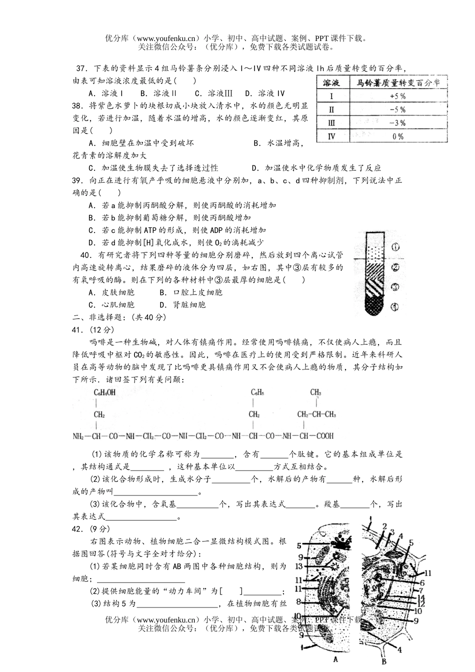 高中一年级生物第一学期期中联考试卷_第3页