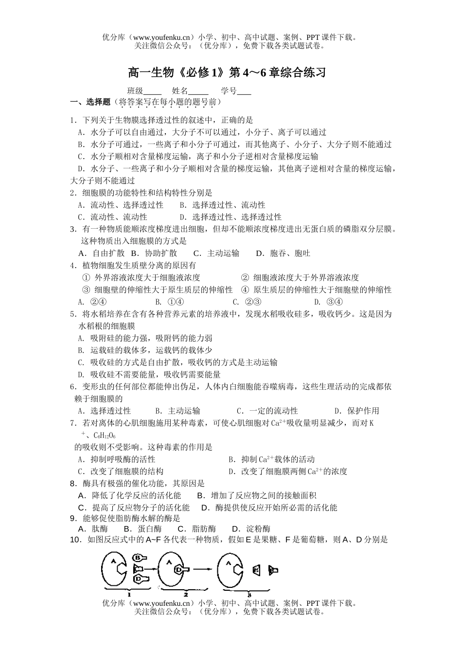高中一年级生物 必修1第4-6章综合练习试卷_第1页