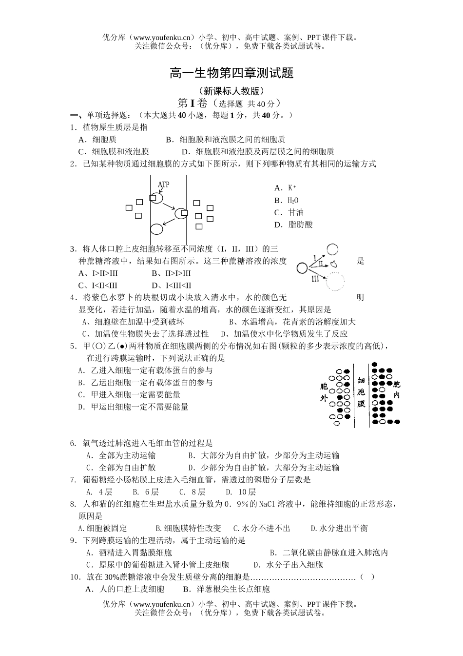 高中一年级生物第四章测试卷_第1页