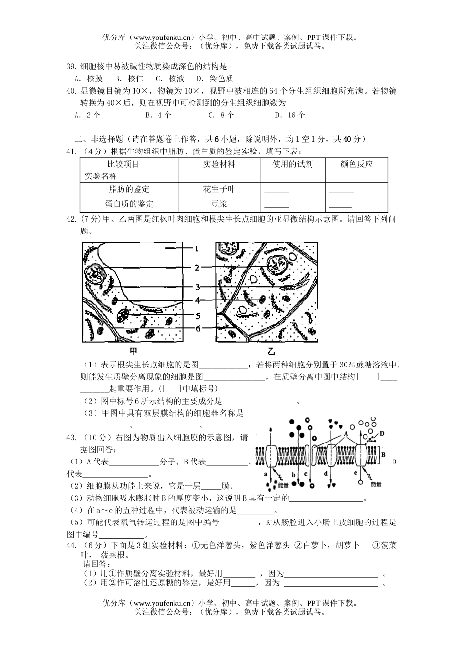高中一年级生物级上学期必修1模块考试卷_第3页