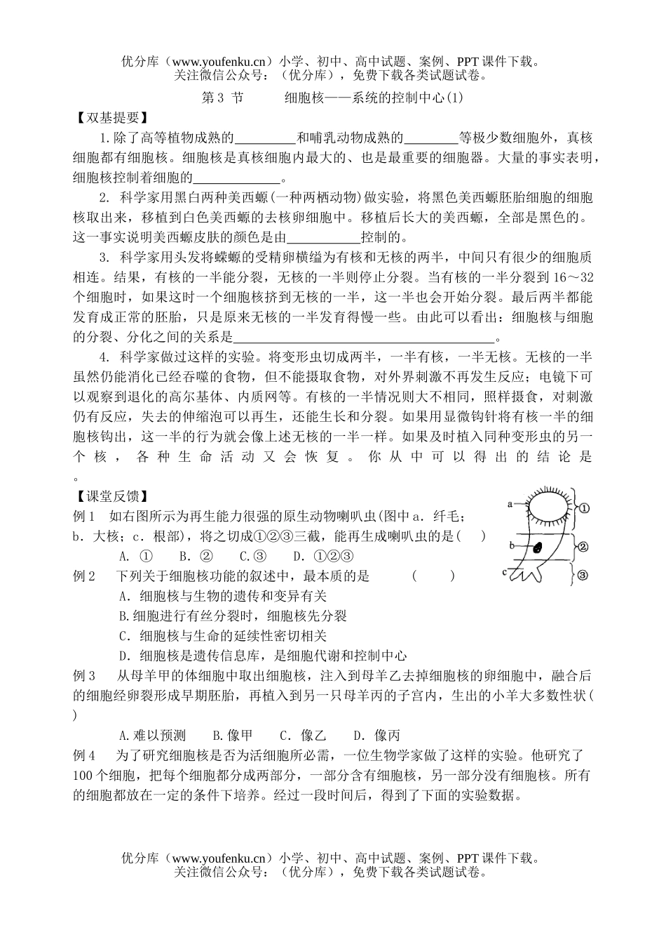 高中一年级生物细胞核测1试卷_第1页