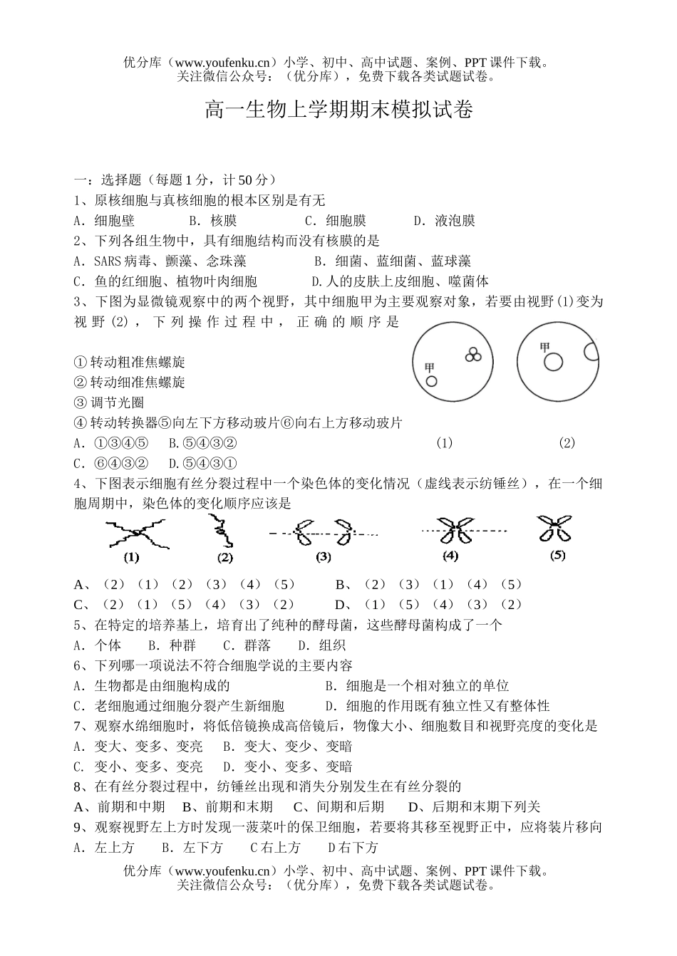 高中一年级生物上学期期末模拟试卷_第1页