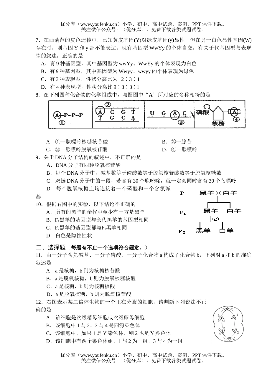 高中一年级生物下学期练习题2试卷_第2页