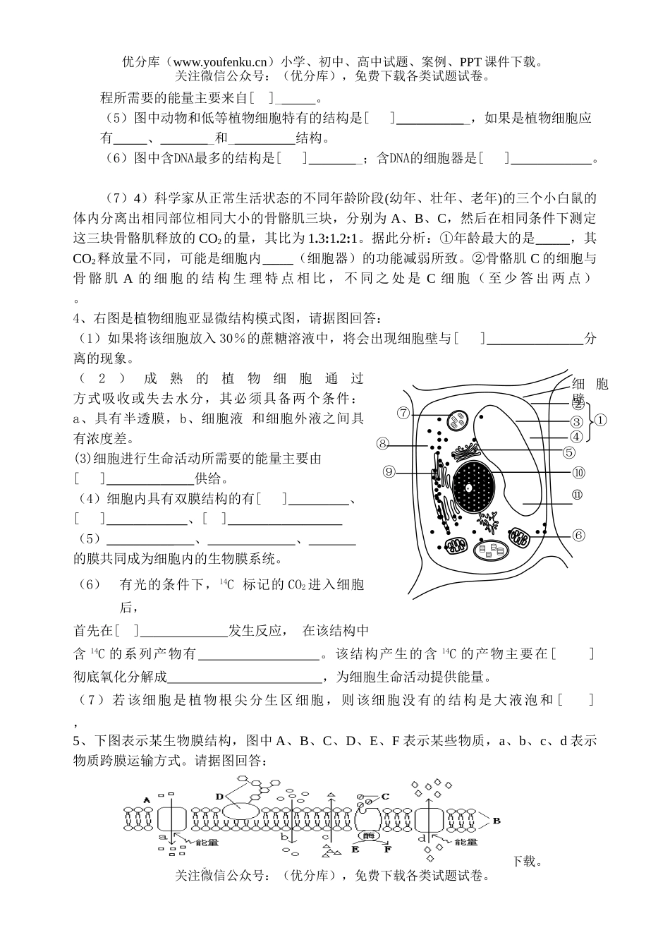 高中一年级生物模块专项练习试卷_第2页