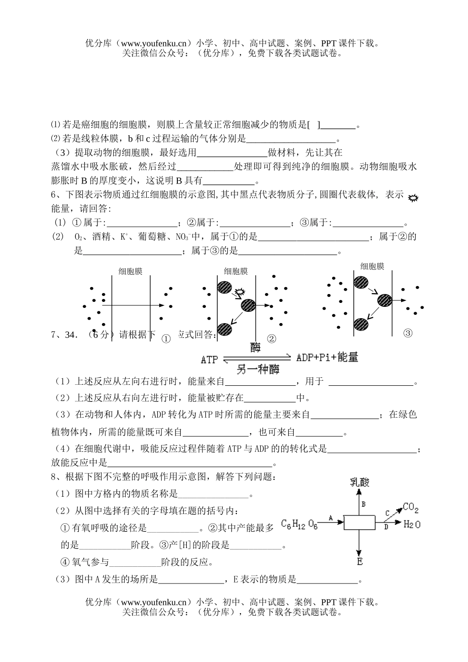 高中一年级生物模块专项练习试卷_第3页