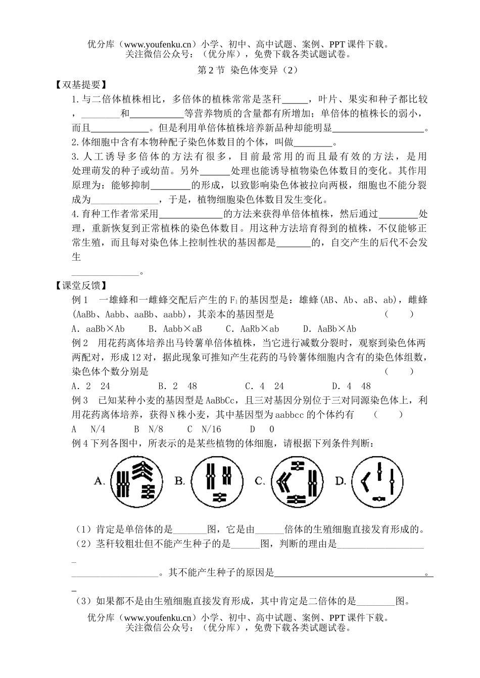 高中一年级生物染色体变异测试2试卷_第1页
