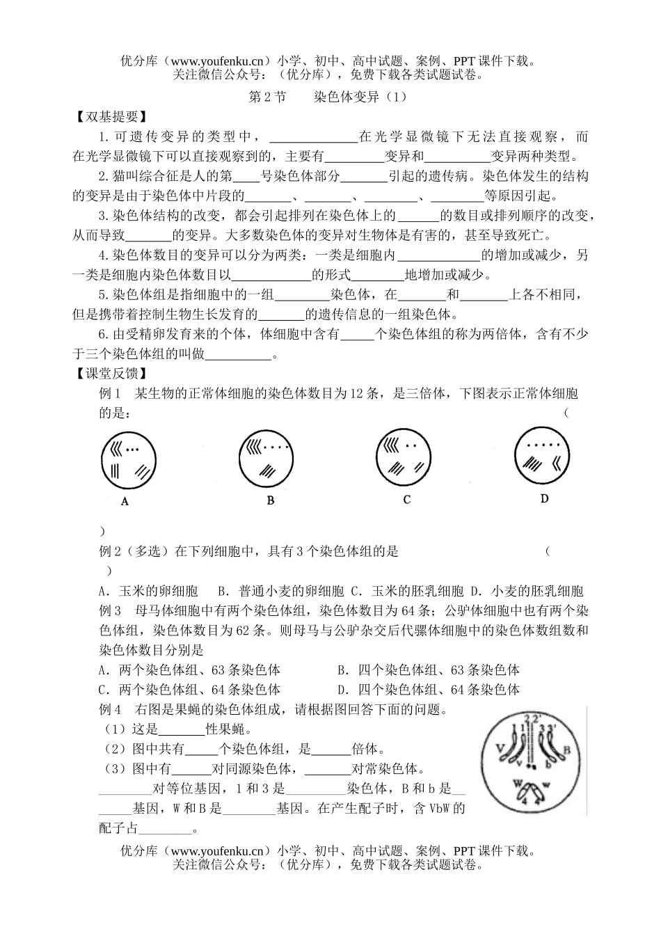 高中一年级生物染色体变异测试1试卷_第1页