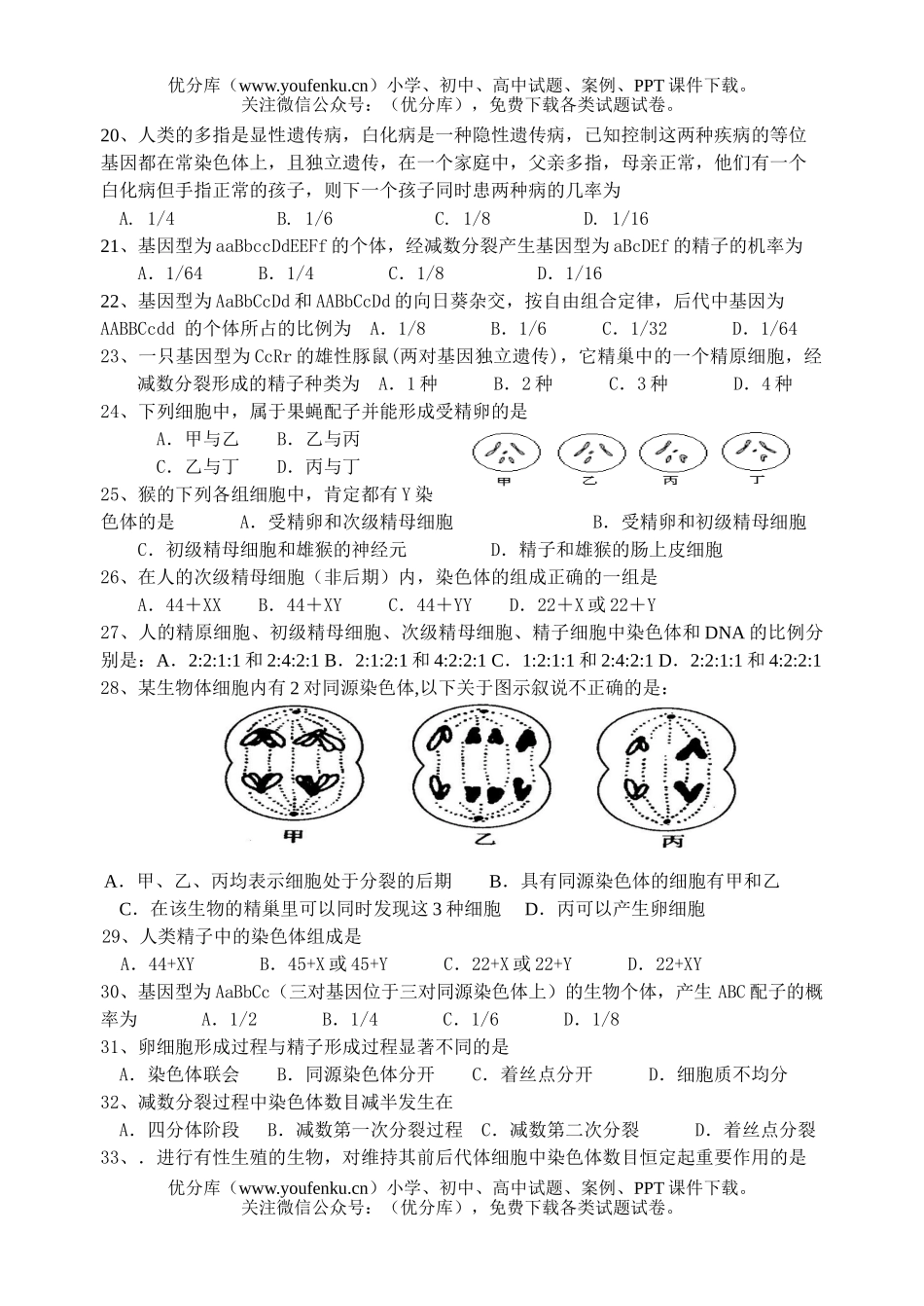 高中一年级生物必修2练习试卷_第3页