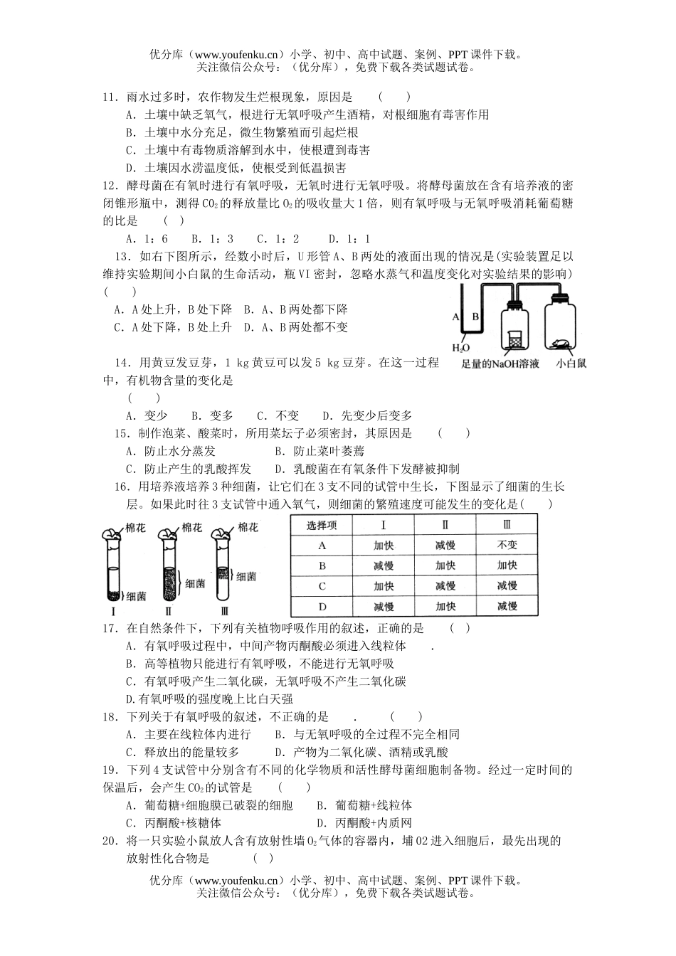 高中一年级生物细胞的能量供应和利用测试卷_第1页