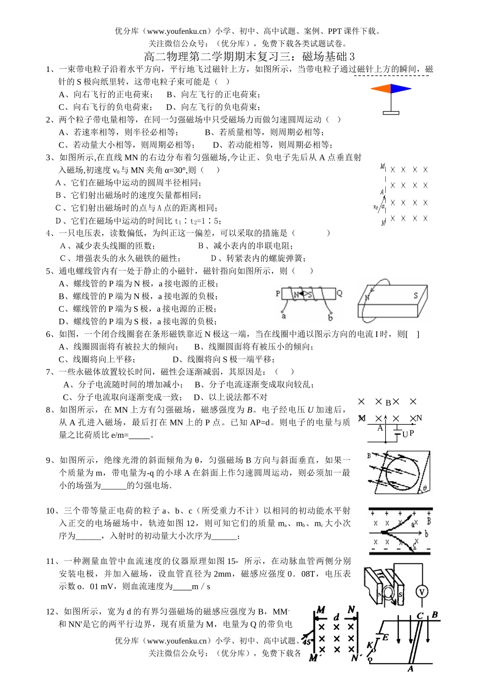 高中二年级物理第二学期期末复习三：磁场基础3试卷_第1页