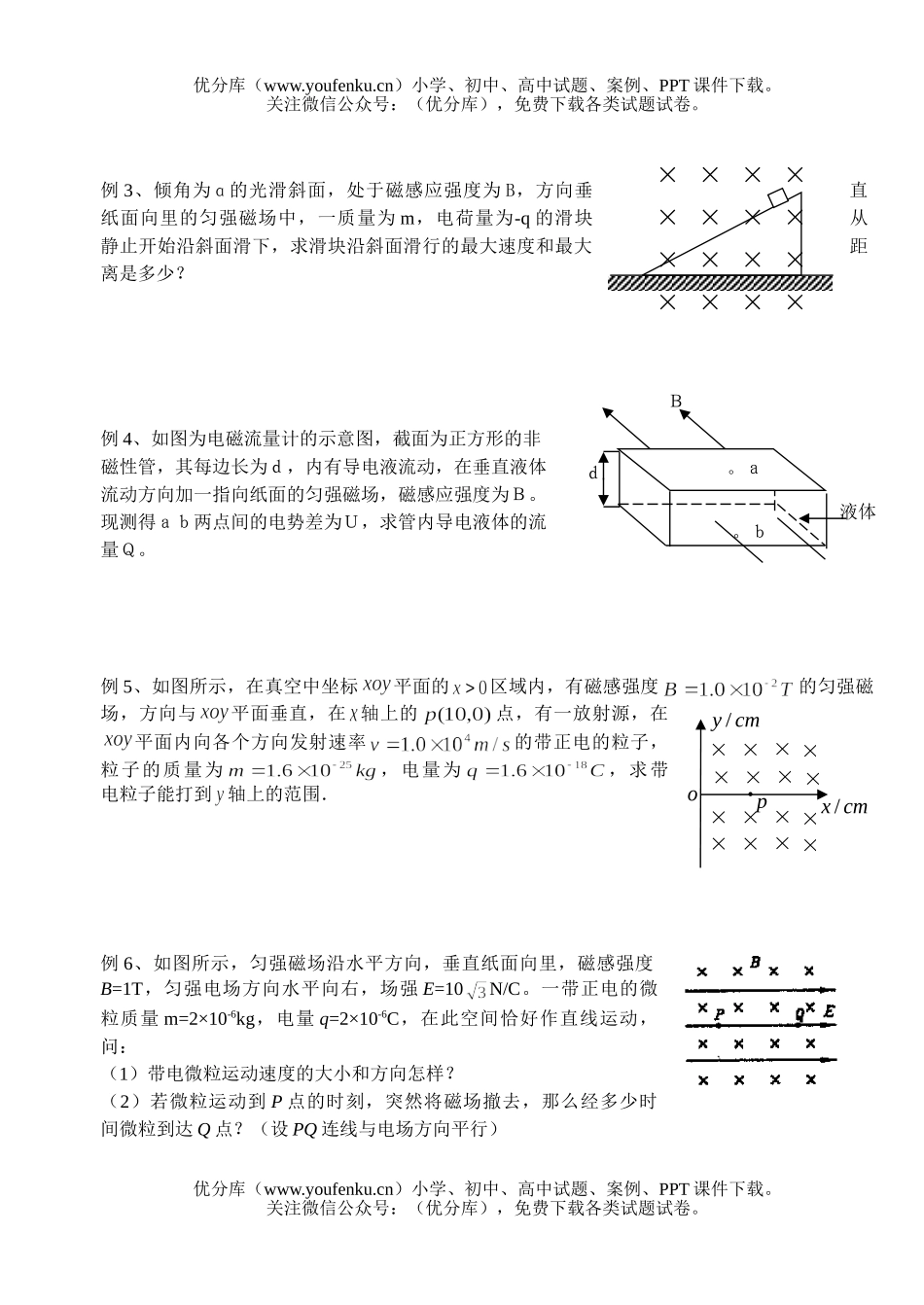 高中二年级物理磁场复习题试卷_第2页