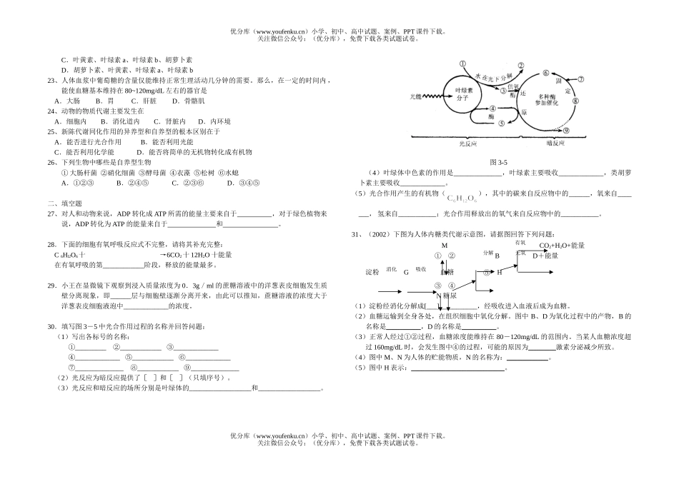 高中二年级生物新陈代谢试卷_第2页