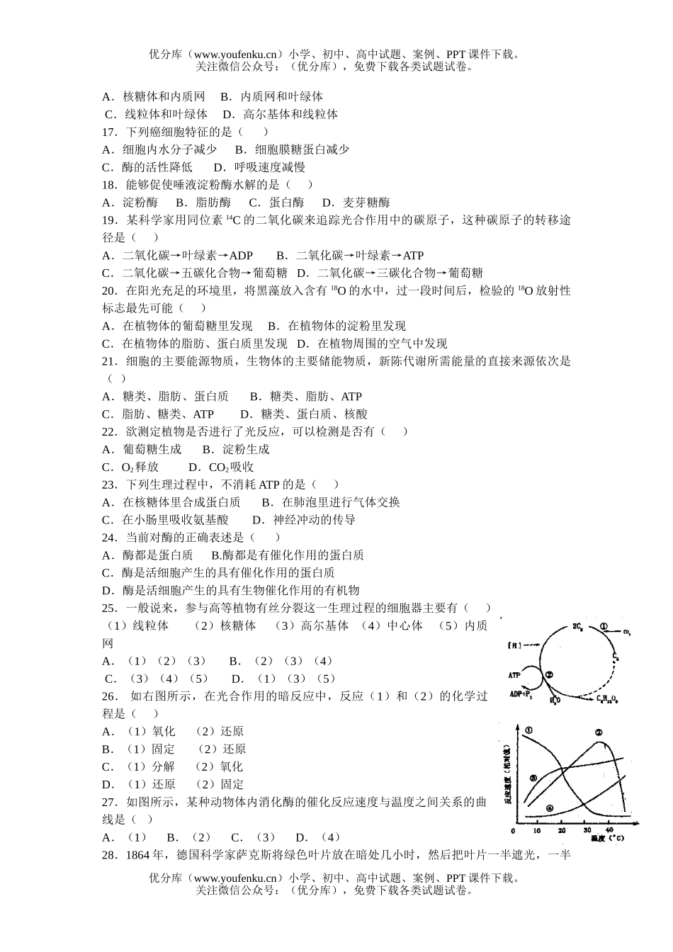 高中二年级生物第一学期期中考试卷_第2页