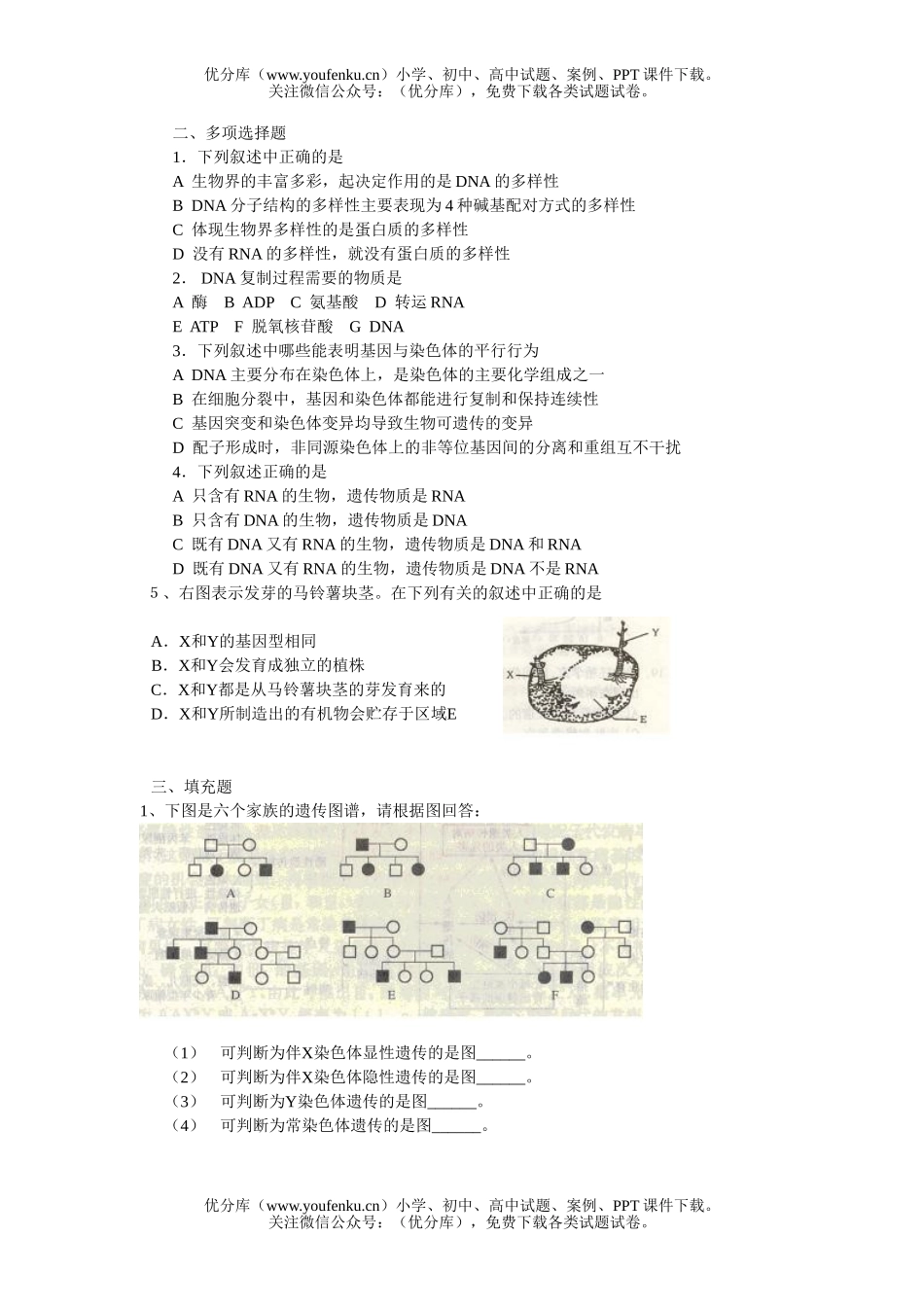 高中二年级生物遗传部分专题检测题试卷_第2页
