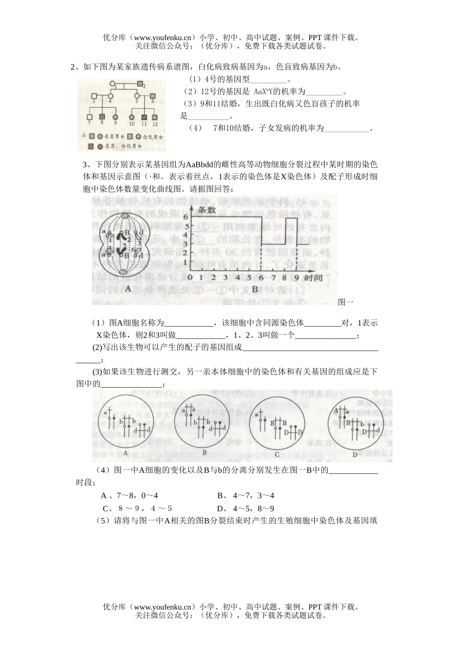 高中二年级生物遗传部分专题检测题试卷_第3页