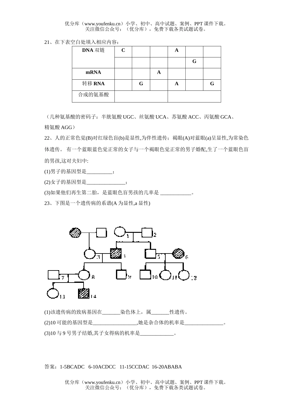 高中二年级生物遗传的物质基础和遗传规律试卷_第2页