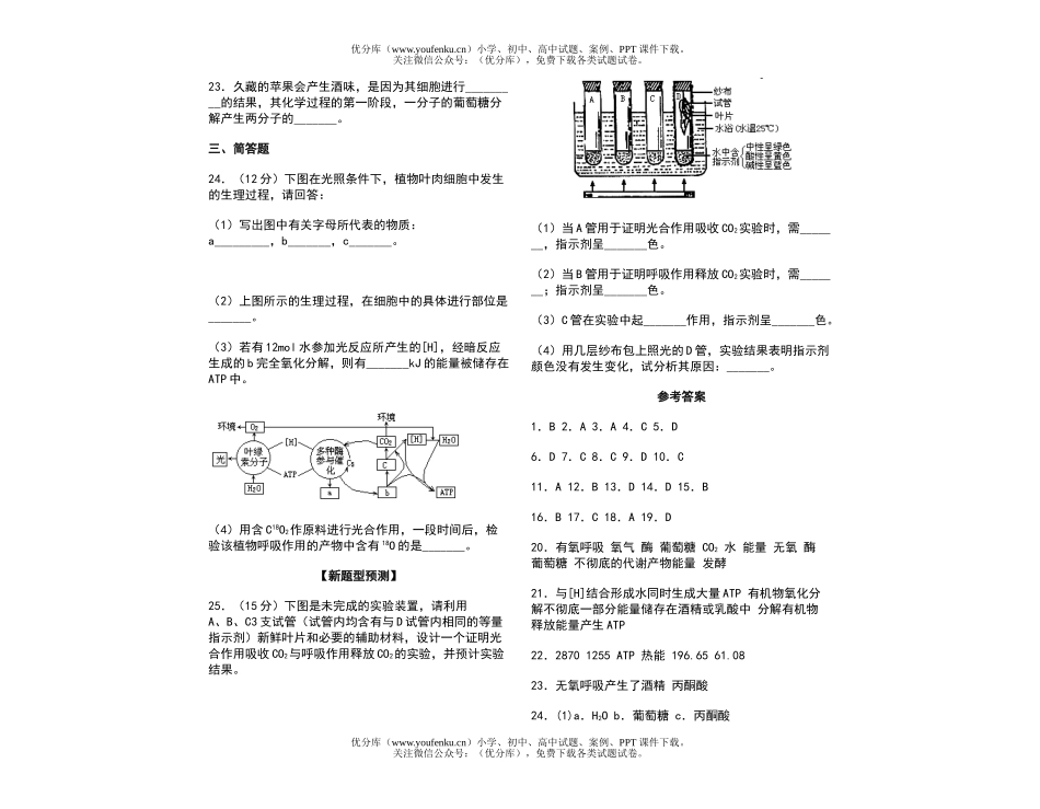 高中二年级生物呼吸作用课时考点(一)试卷_第2页