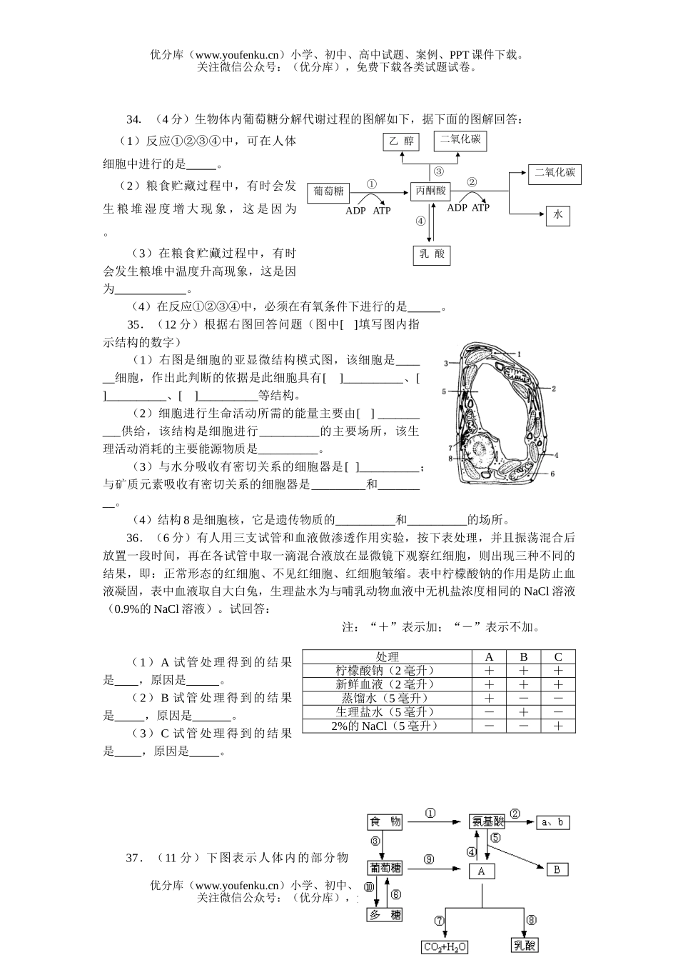 高中二年级生物第一学期期中试卷_第3页