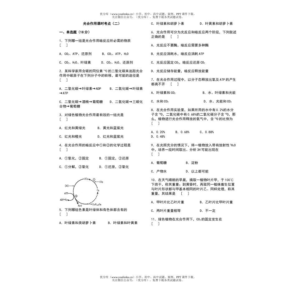 高中二年级生物光合作用课时考点(二)试卷_第1页