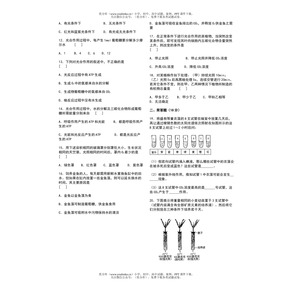 高中二年级生物光合作用课时考点(二)试卷_第2页