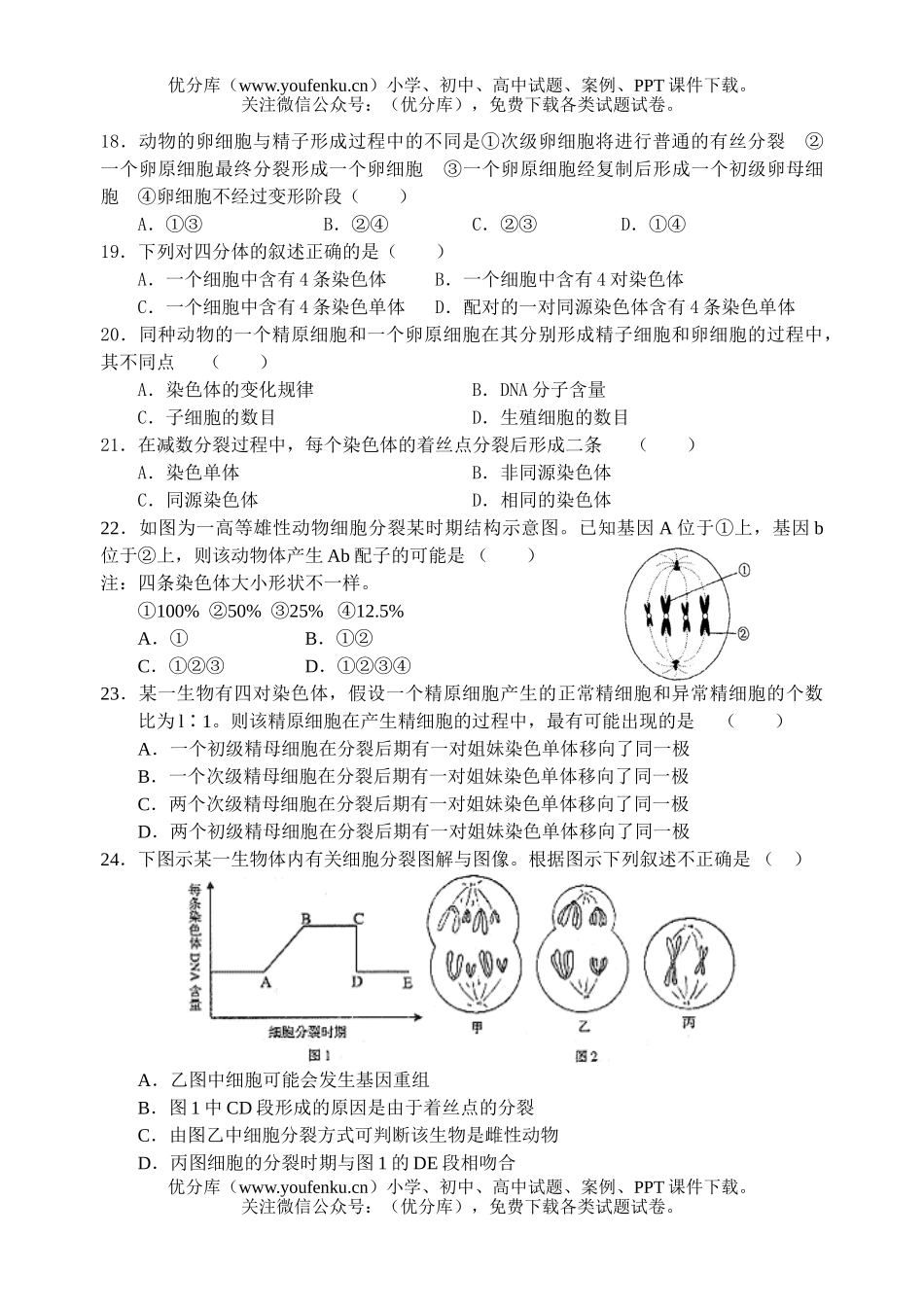 高中二年级生物减数分裂与有丝分裂综合练习题试卷_第3页