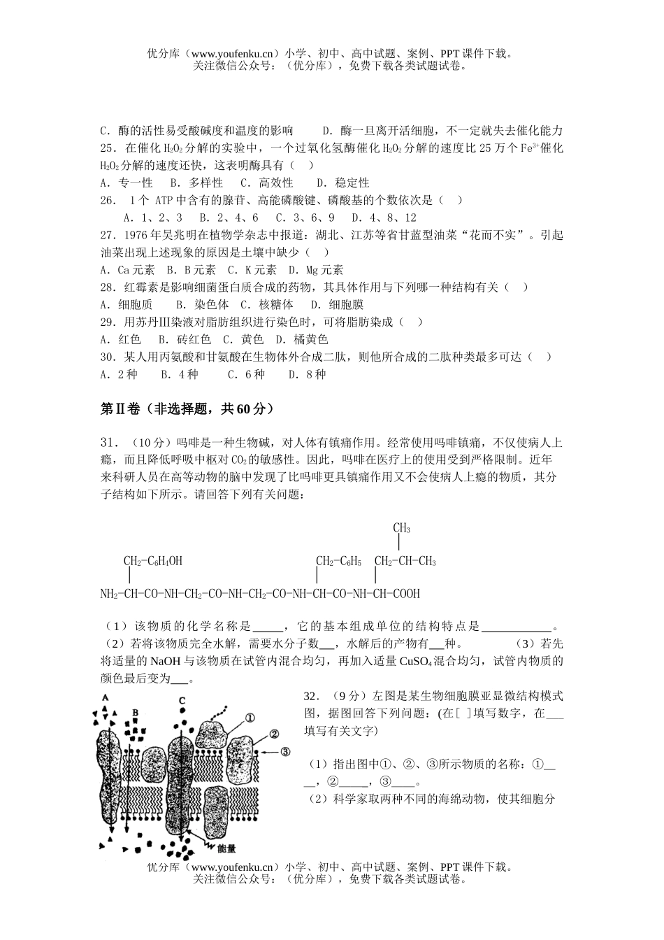 高中二年级生物上学期期中考试2试卷_第3页