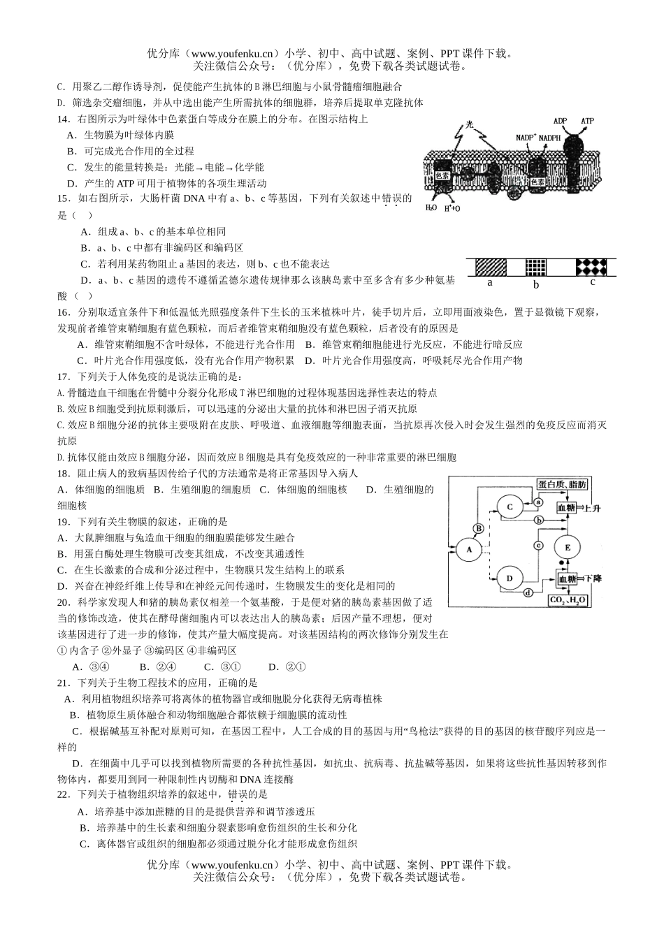 高中三年级生物09届选修综合检测题试卷_第2页