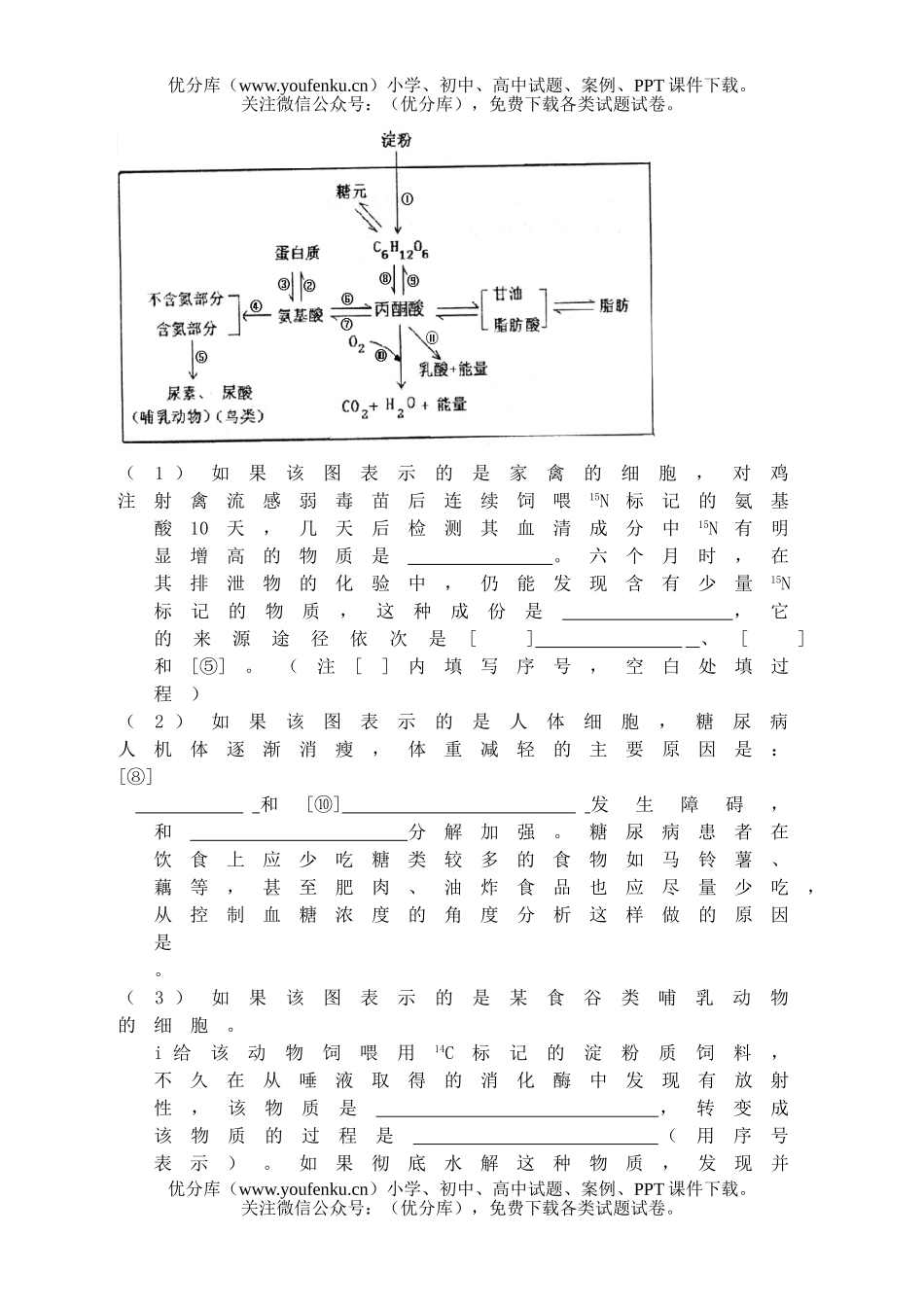 高中三年级生物练习卷人和动物体内三大营养物质的代谢试卷_第2页