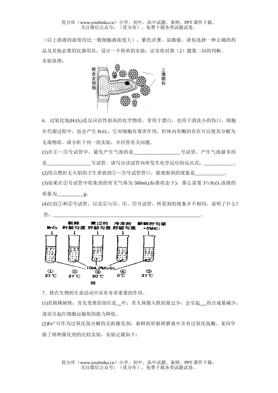 高中三年级生物实验专题训练(上)试卷_第3页