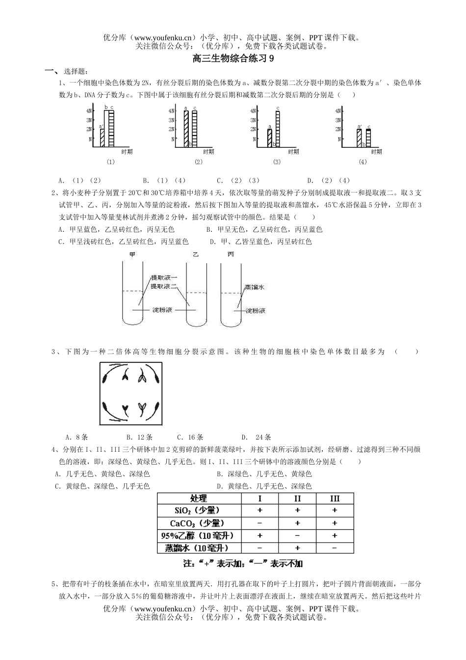 高中三年级生物综合练习9试卷_第1页