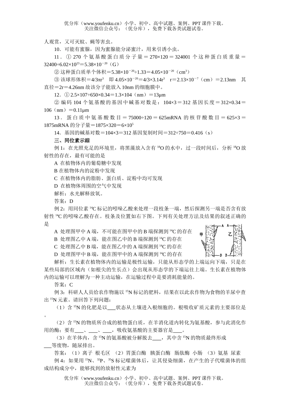 高中三年级生物综合专题复习资料试卷_第3页