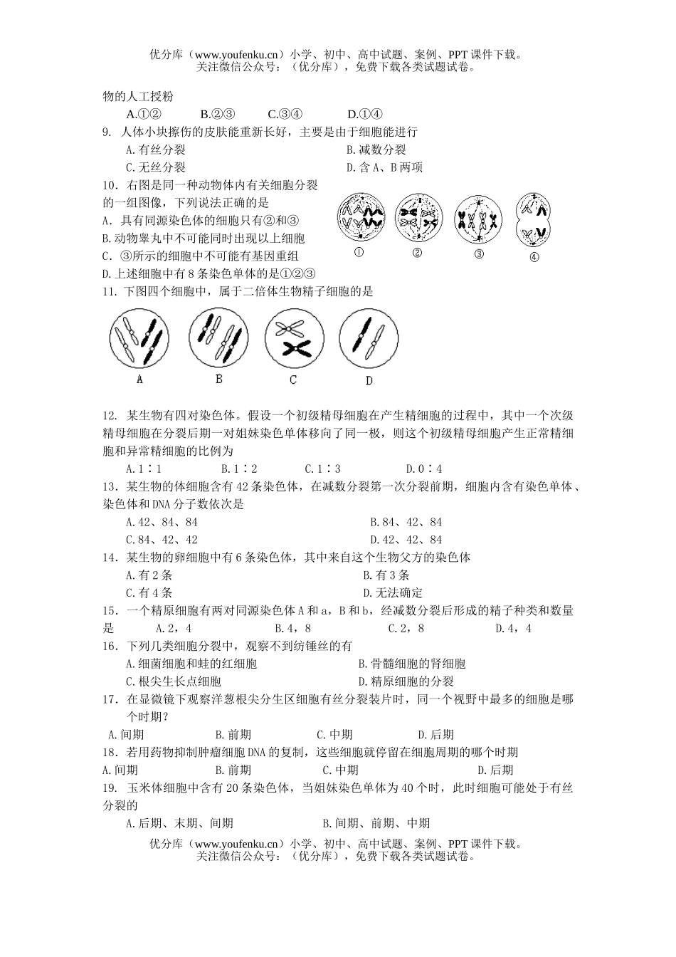 高中三年级生物细胞分裂练习试卷_第2页